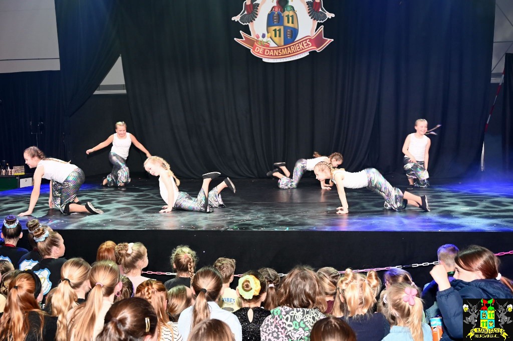 ../Images/Dansmariekefestival 2026 341.jpg